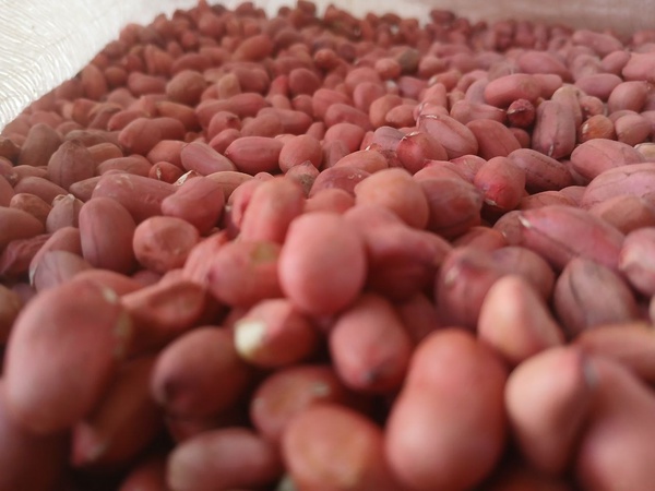 Ядро арахиса