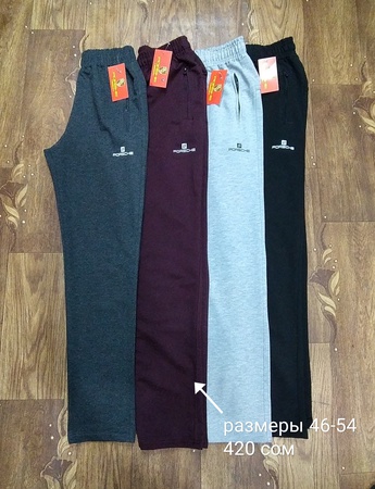Мужские спортивные штаны. Трико