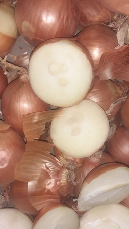 onion