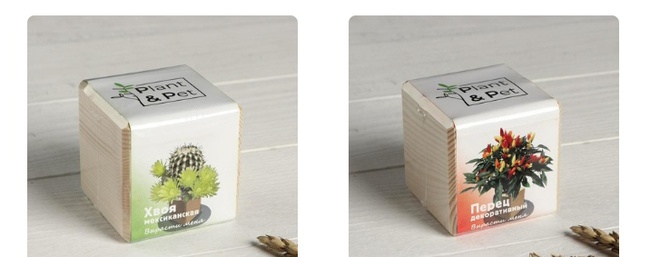 Ferienhaus und Garten. Kits für den Anbau von P & P zu Hause und für die weitere Transplantation Wir akzeptieren Bestellungen ab 1 Stk.