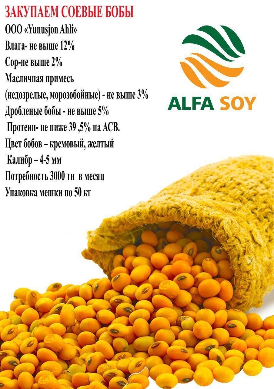 <p><strong><span style="font-family:TimesNewRoman; font-size:10.0pt">We would like to inform you about our enterprise, which started its activity and is aimed at deep processing of soybeans, and is considered the first and only one in Uzbekistan and Central Asia. The demand of our production for soybeans is 3,000 tons per month.</span></strong></p>

<p><strong><span style="font-family:TimesNewRoman; font-size:10.0pt">We are currently looking for partners for the purchase of soybeans. around the world, in particular the Russian Federation, as well as in the Republic of Kazakhstan.</span></strong></p>

<p><strong><span style="font-family:TimesNewRoman; font-size:10.0pt">If you are interested, we will be glad to see your offer !!!</span></strong></p>

<p><strong><span style="font-family:TimesNewRoman; font-size:10.0pt">Soybean Requirement:</span></strong></p>

<p><strong><span style="font-family:TimesNewRoman; font-size:10.0pt">Moisture: no more than 12%</span></strong></p>

<p><strong><span style="font-family:TimesNewRoman; font-size:10.0pt">Trash: no more than 2%</span></strong></p>

<p><strong><span style="font-family:TimesNewRoman; font-size:10.0pt">Oil admixture (unripe frosty ones): no more than 3%</span></strong></p>

<p><strong><span style="font-family:TimesNewRoman; font-size:10.0pt">Shredded beans: no more than 5%</span></strong></p>

<p><strong><span style="font-family:TimesNewRoman; font-size:10.0pt">Bean color: cream, yellow</span></strong></p>

<p><strong><span style="font-family:TimesNewRoman; font-size:10.0pt">Caliber: 4-5 mm</span></strong></p>

<p><strong><span style="font-family:TimesNewRoman; font-size:10.0pt">Protein percentage 39.5 per DIA (minimum)</span></strong></p>