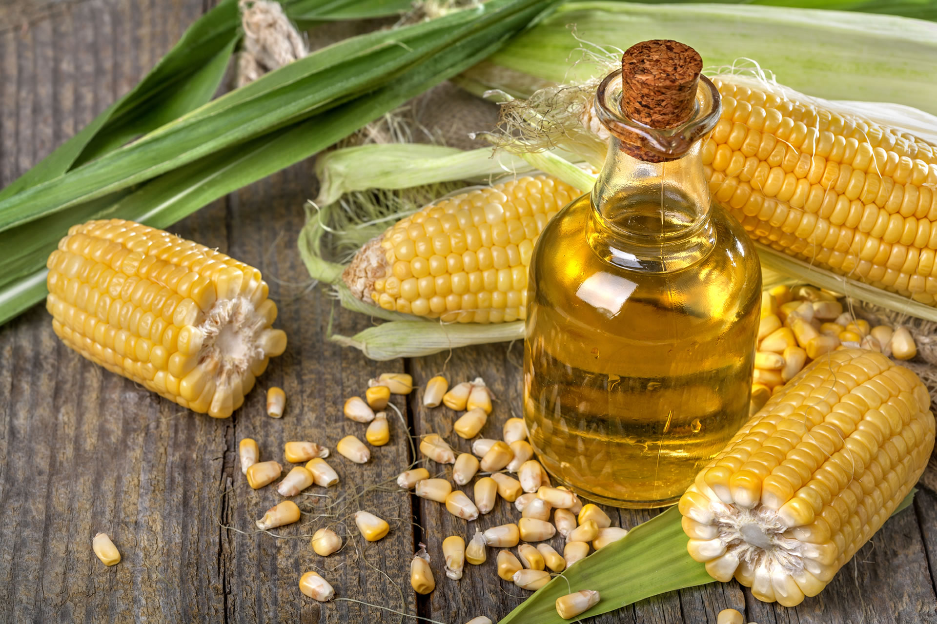 Кукурузное масло или подсолнечное. Масличная кукуруза. Кукурузное масло. Растительное масло кукурузное. Масло из кукурузы.