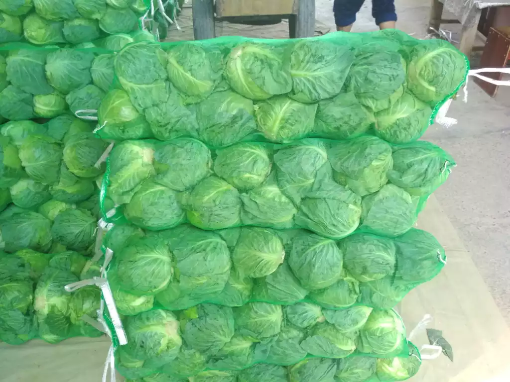 <p>I will buy&nbsp;60tn fresh cabbage a week and 60tn onion per week.</p>
