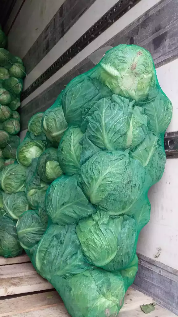<p>I will buy&nbsp;60tn fresh cabbage a week and 60tn onion per week.</p>