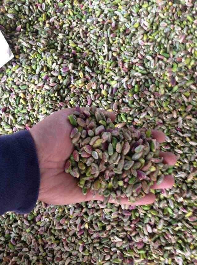 <p>3-5 tons and more pistachios WANTED.</p>

<p>(Translated from Russian)</p>